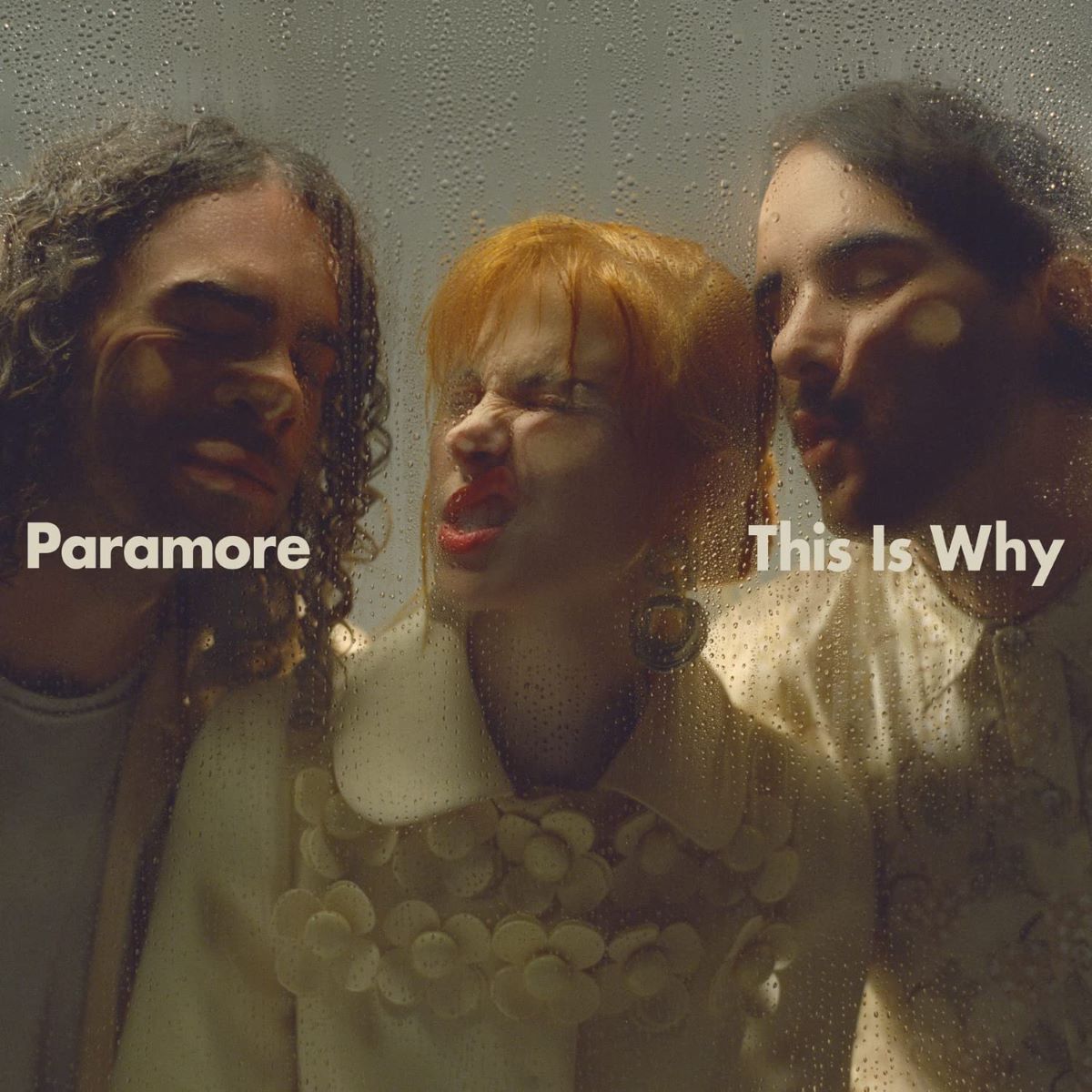 Paramore This Is Why Vinyl LP - Discrepancy Records