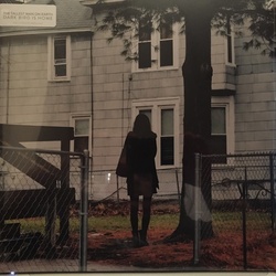 Tallest Man On Earth Dark Bird Is Home vinyl LP gatefold