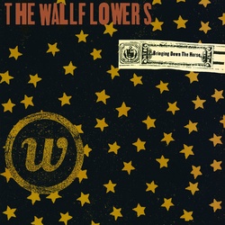 Wallflowers Bringing Down The Horse 20th anniversary vinyl LP