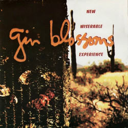 Gin Blossoms New Miserable Experience reissue vinyl LP