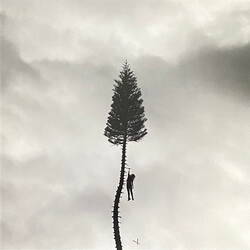 Manchester Orchestra A Black Mile To The Surface 130gm Vinyl 2 LP ETCHED