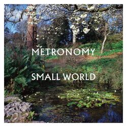 Metronomy Small World black vinyl LP