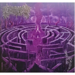 Civerous Maze Envy VINYL LP