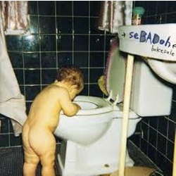 Sebadoh Bakesale Deluxe vinyl LP