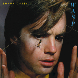 Shaun Cassidy Wasp Vinyl LP