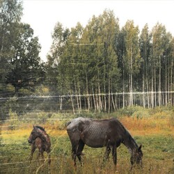 Pianos Become The Teeth Old Pride Vinyl LP