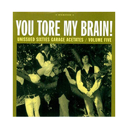 You Tore My Brain! Sixties Garage Acetates Vol. 5-You Tore My Brain! Sixties Garage Acetates Vinyl LP