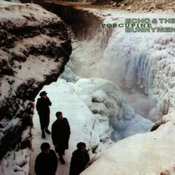 Echo & The Bunnymen Porcupine Vinyl LP