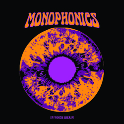 Monophonics In Your Brain Vinyl 2 LP
