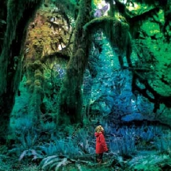 Jacco Gardner Cabinet Of Curiosities Vinyl LP