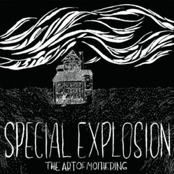 Special Explosion Art Of Mothering Vinyl LP