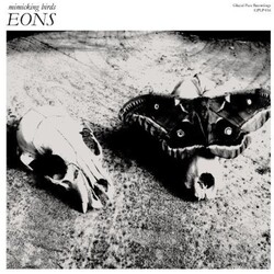 Mimicking Birds Eons Vinyl LP