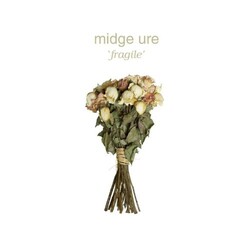 Midge Ure Fragile 180gm Vinyl LP