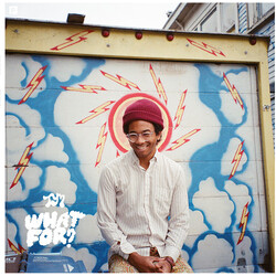 Toro Y Moi What For Vinyl LP