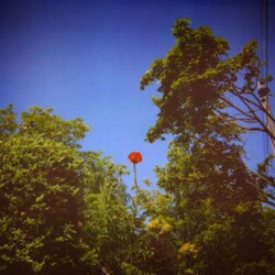 Benoit Pioulard Sonnet Vinyl LP