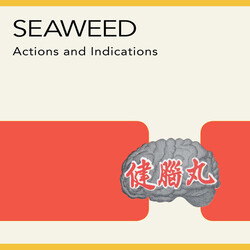 Seaweed Actions & Indications Vinyl LP