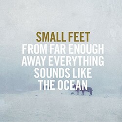 Small Feet From Far Enough Away Everything Sounds Like Vinyl LP