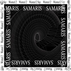 Samaris Wanted 2 Say Vinyl 12"