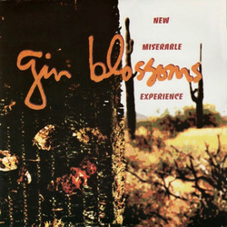 Gin Blossoms New Miserable Experience Vinyl LP