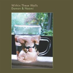 Damon & Naomi Within These Walls Vinyl LP