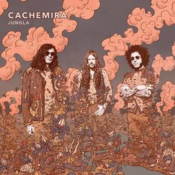 Cachemira Jungla Vinyl LP