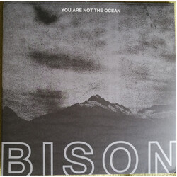 Bison B.C. You Are Not The Ocean You Are The Patient