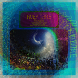 Avey Tare Eucalyptus Vinyl 2 LP