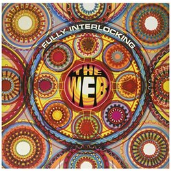 Web Fully Interlocking Vinyl LP