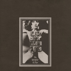 Felt Splendour Of Fear deluxe rmstrd Vinyl LP +g/f