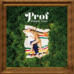 Prof Pookie Baby Vinyl 2 LP