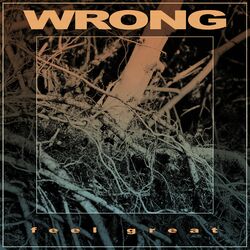 Wrong Feel Great Vinyl LP