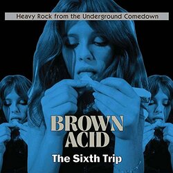 Various Artist Brown Acid - The Sixth Trip Vinyl LP