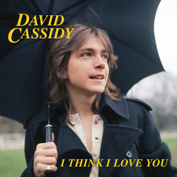 David Cassidy I Think I Love You ltd 7"