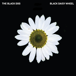 Black Dog Black Daisy Wheel Vinyl LP