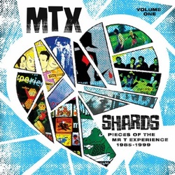 Mr T Experience Shards Vol. 1 Vinyl LP