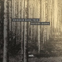 Oddgeir Berg Trio Before Dawn Vinyl LP