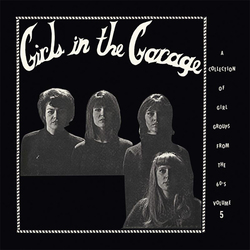 Various Artist Girls In The Garage Volume 5 Vinyl LP