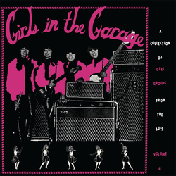 Various Artist Girls In The Garage Volume 4 Vinyl LP