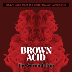 Various Artist Brown Acid - The Seventh Trip Vinyl LP