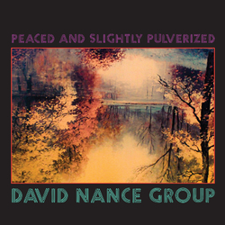 David Nance Group Peaced And Slightly Pulverized Vinyl LP