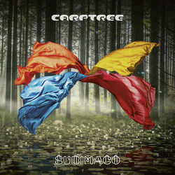 Carptree Subimago Vinyl LP