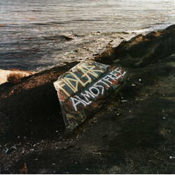 FIDLAR Almost Free Vinyl LP