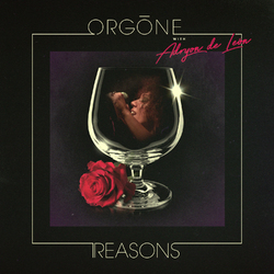 Orgone Reasons Vinyl LP