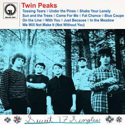 Twin Peaks Sweet '17 Singles Vinyl LP