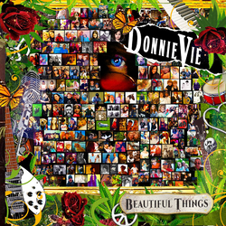 Donnie Vie Beautiful Things Vinyl LP