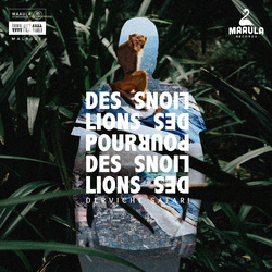 Des Lions Pour Des Lions DERVICHE SAFARI Vinyl LP