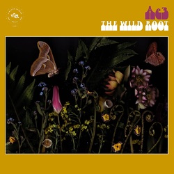 Ae3 (Alan Evans Trio) The Wild Root 180gm Vinyl LP