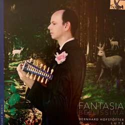 Bernhard Hofstötter Fantasia Bellissima The Lviv Lute Tablature Vinyl LP