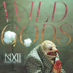 The Number Twelve Looks Like You Wild Gods Vinyl 2 LP