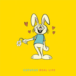 Cayucas Real Life Vinyl LP